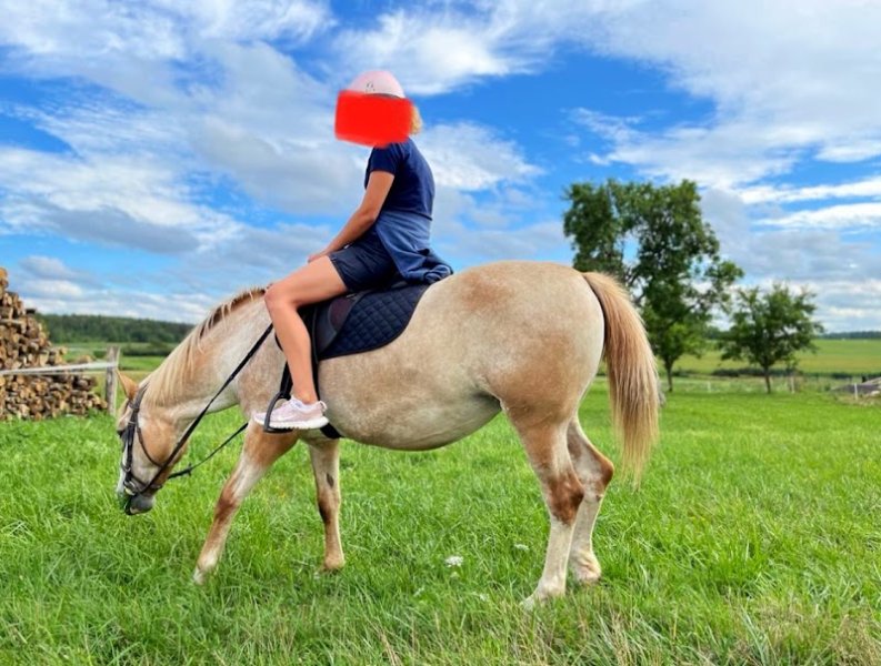 Au Petit Trot (Ferme Equestre) - photo 2