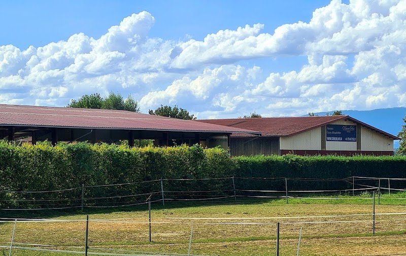 Ecurie Dolivo - photo 2