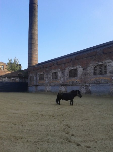 Écuries Du Néflier écuries de Propriétaire