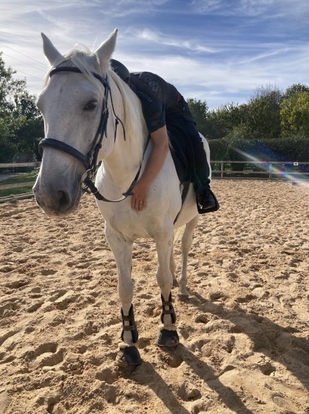 Ecurie Equinox LCDB - photo 2