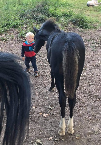 Les Écuries d'Emeraude
