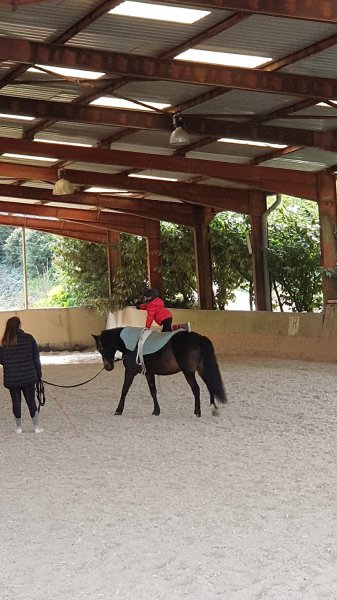 Les Écuries d'Emeraude - photo 2