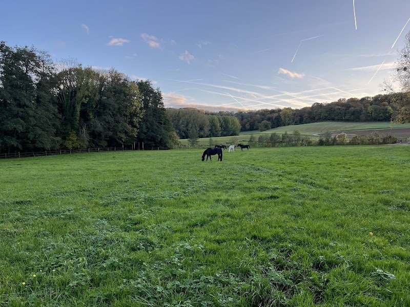 Les écuries de Vassens - photo 2