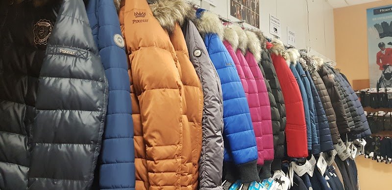 Sellerie de l'Etoile - photo 2