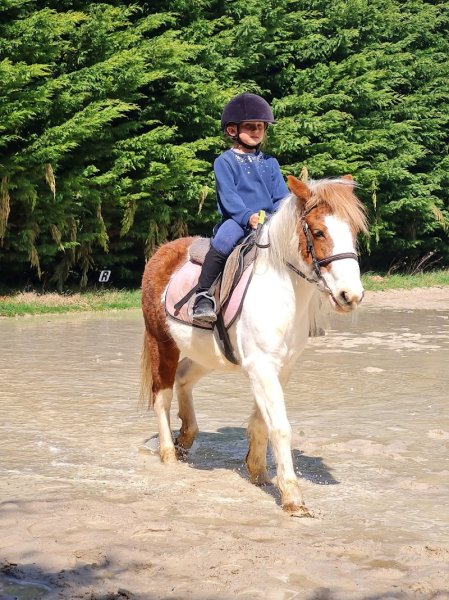 Association Des Écuries de la Vignette - photo 1