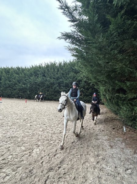 Association Des Écuries de la Vignette - photo 2