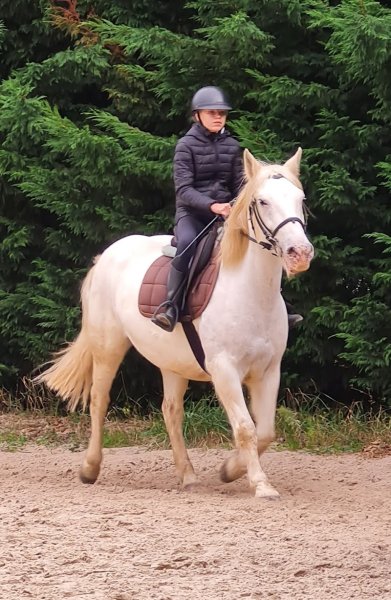 Association Des Écuries de la Vignette - photo 3