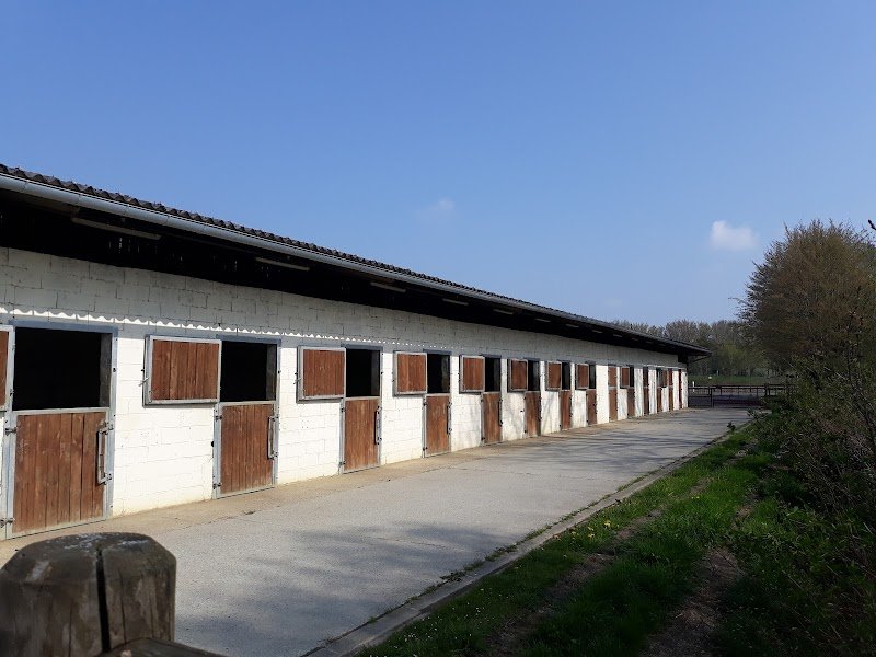 Les Écuries de Boué - photo 2