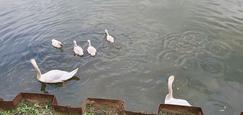 Les Écuries de Boué - photo 3