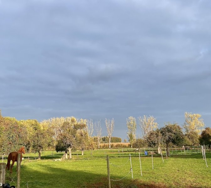 Domaine du Haras de Clary - photo 2