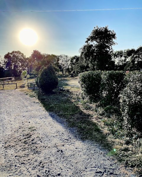 Domaine du Haras de Clary - photo 3