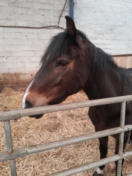 SCEA ECURIE DES 4 MUIDS - photo 1