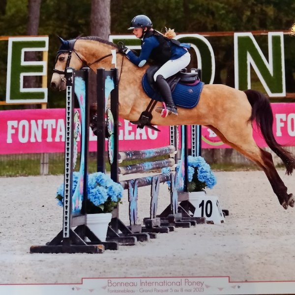 Ecurie des 2F - photo 2