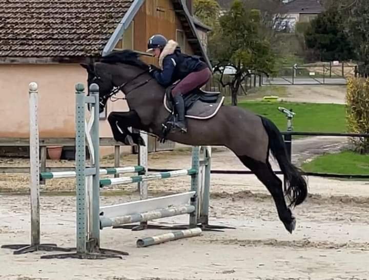 Ecurie des 2F - photo 3