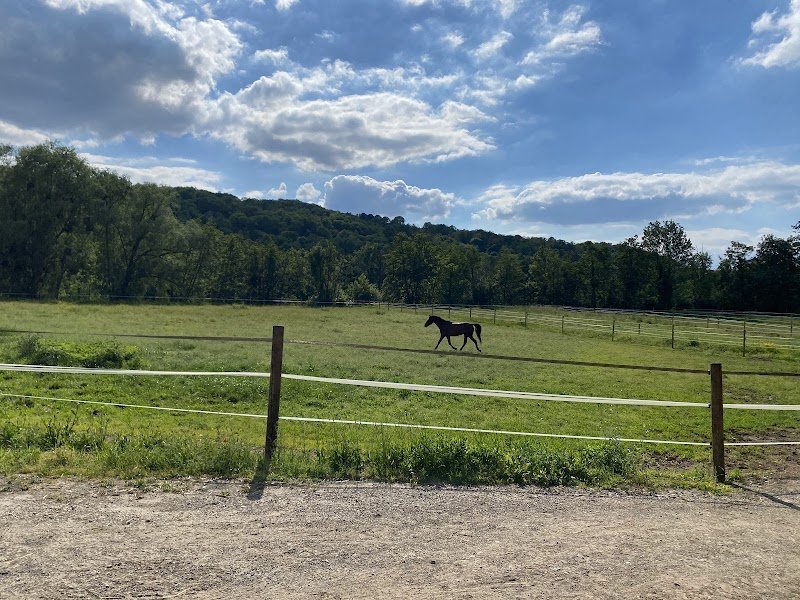 Black Beauty Club, Ecurie SECCHIUTTI - photo 3