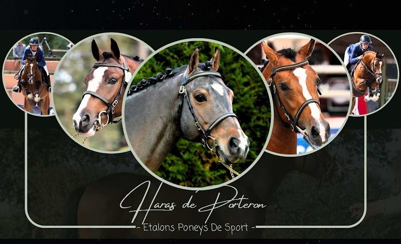 Haras de Porteron - photo 1