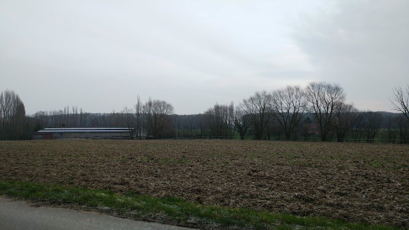 Ecurie et Sellerie de la Croix - photo 2