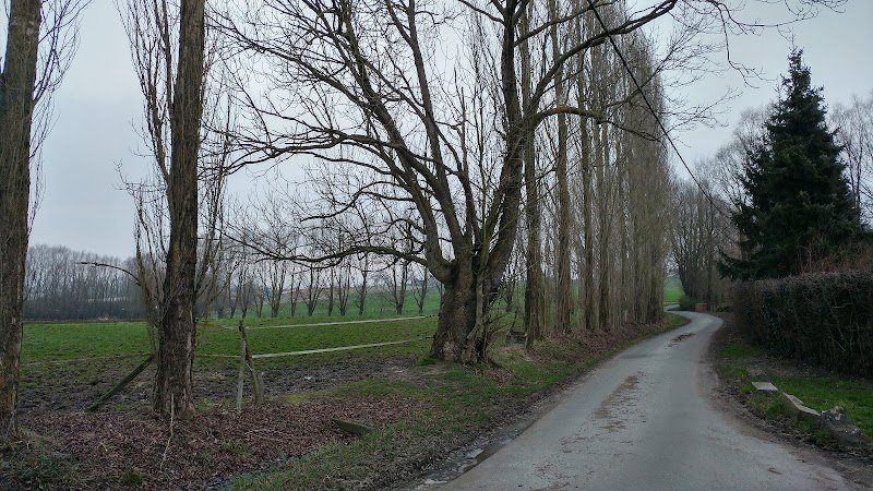 Ecurie et Sellerie de la Croix - photo 3