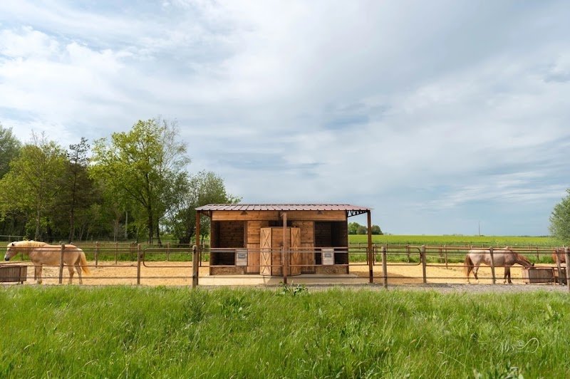 Écuries Nicolas Bayart - photo 1