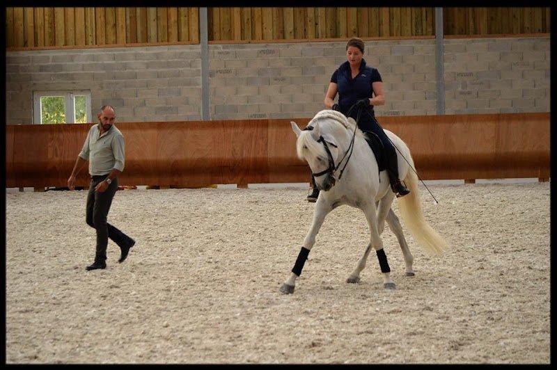 Académie Equestre du Miroir - photo 2
