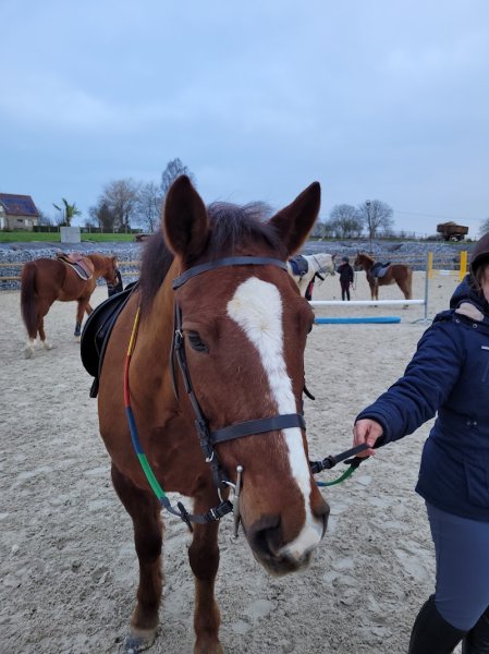 Centre Equestre de Saint-Georges - photo 1