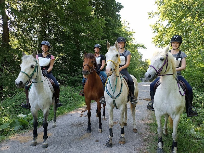 Les poneys de parpeville - photo 2
