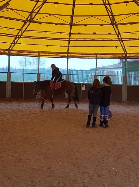 FERME EQUESTRE DU PETIT VILLERS