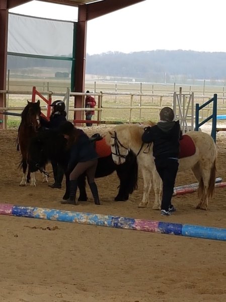 FERME EQUESTRE DU PETIT VILLERS - photo 3