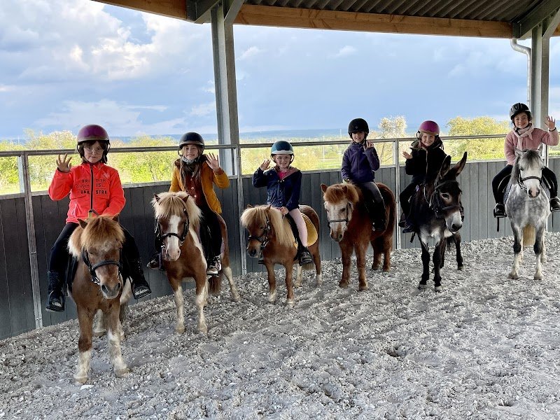 Écurie des Charmes - photo 2