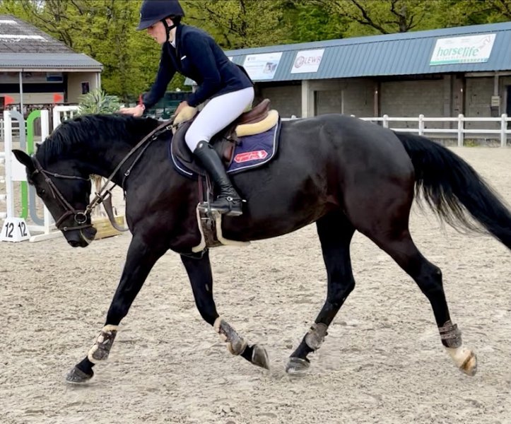 Écurie des Charmes - photo 3