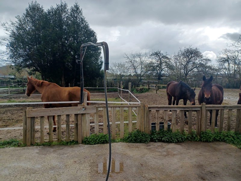 Centre Équestre du Relais de Poste - photo 2