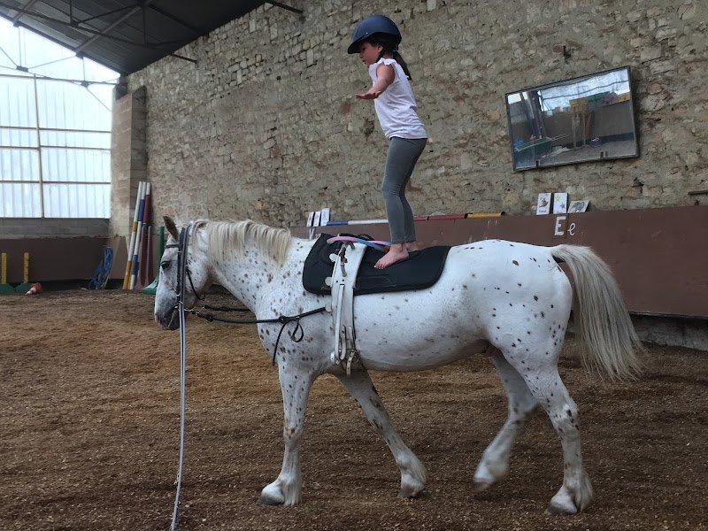 Centre Equestre Saint-Victor - Equi’lien - photo 1