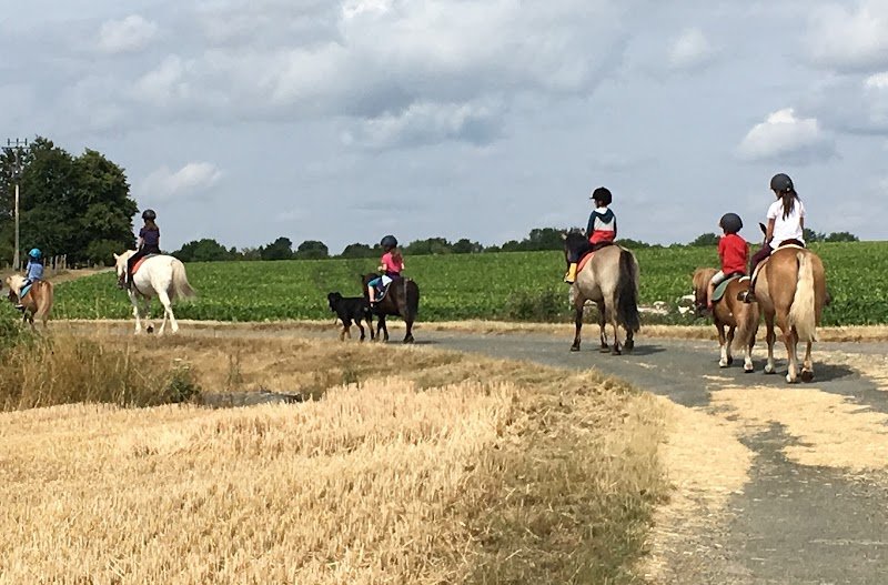Centre Equestre Saint-Victor - Equi’lien - photo 2