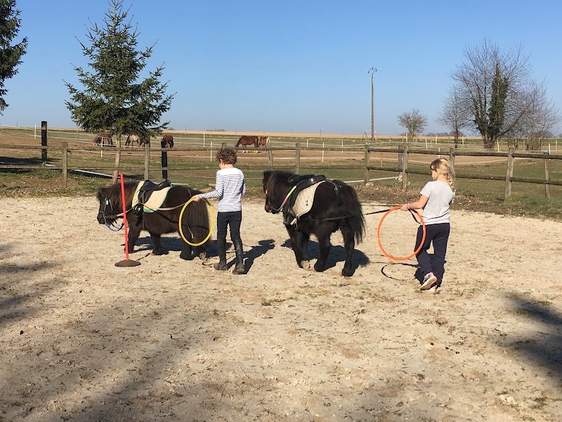 Centre Equestre Saint-Victor - Equi’lien - photo 3