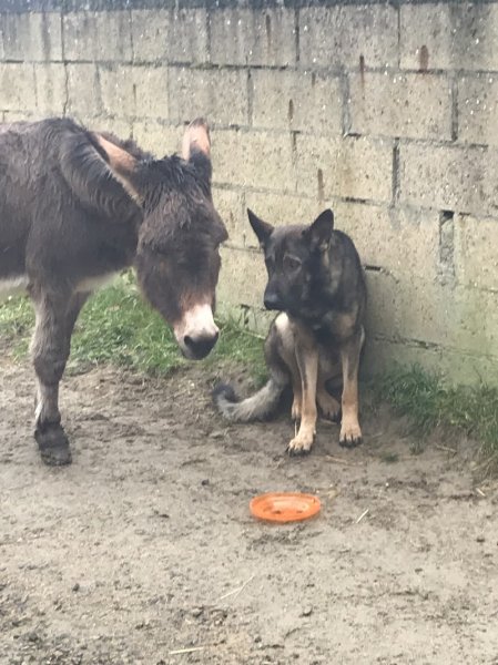 les Écuries de Canny