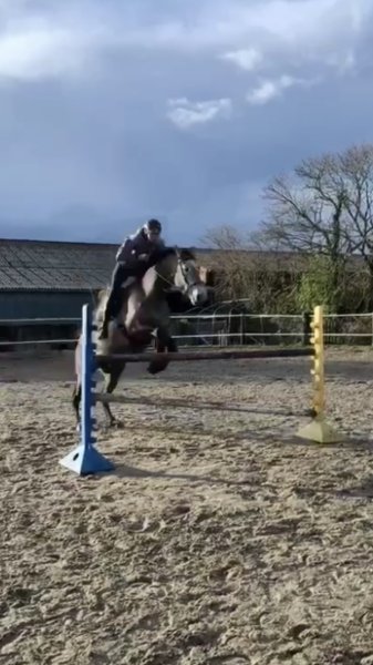 les Écuries de Canny - photo 3