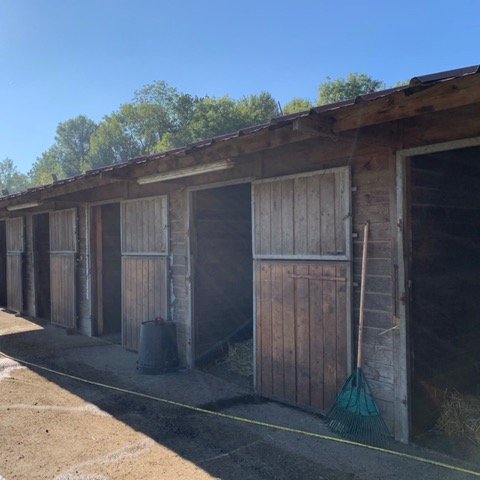 Létine Poney Club - photo 3