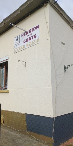 Pension Féline - photo 2