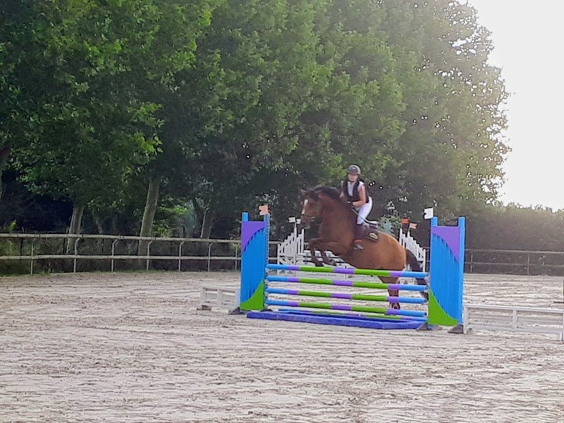 Les écuries de la Falize - photo 1