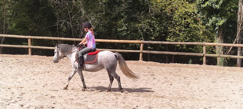 Haras de l'Ondine - photo 1