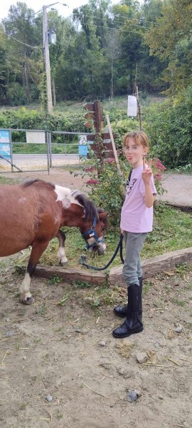 Haras de l'Ondine - photo 2