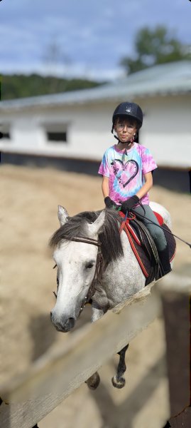 Haras de l'Ondine - photo 3