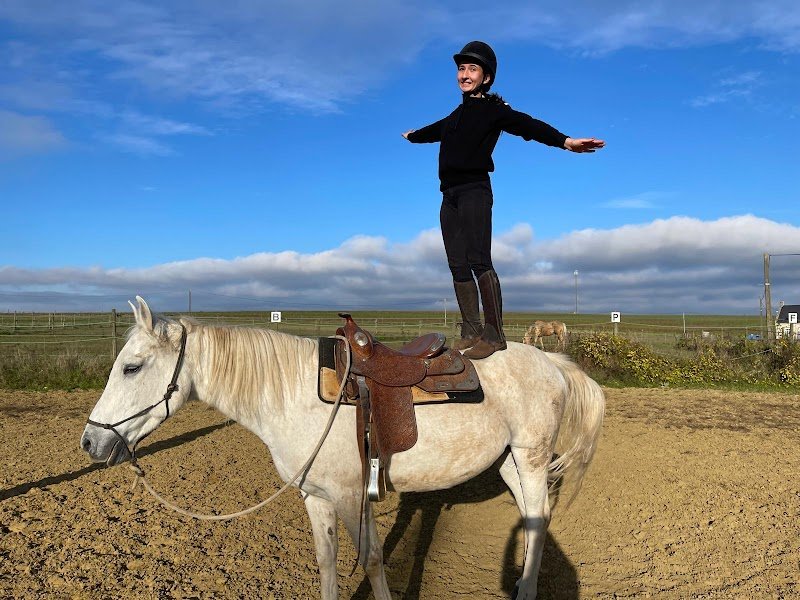 C.R. Horse Training - photo 3