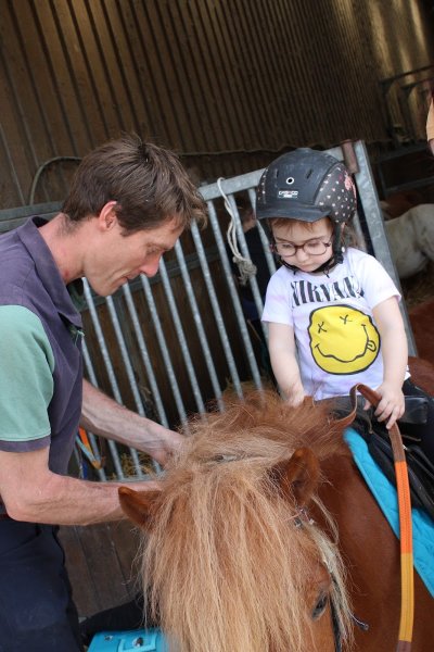 Ecurie Du Rêve - photo 3