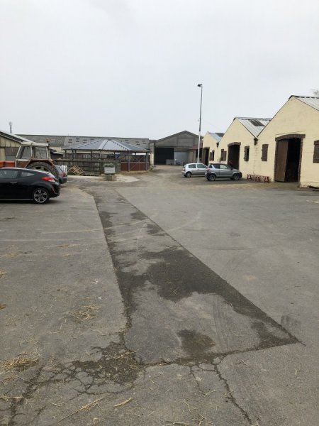 Écuries de la Gohelle : Pension de chevaux - photo 1