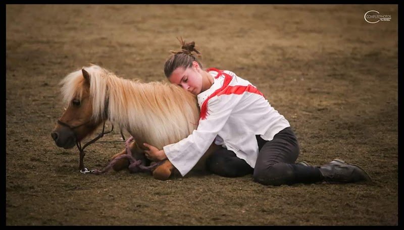 Centre Equestre du Lonval - photo 2