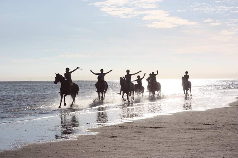 Centre Equestre du Lonval - photo 3