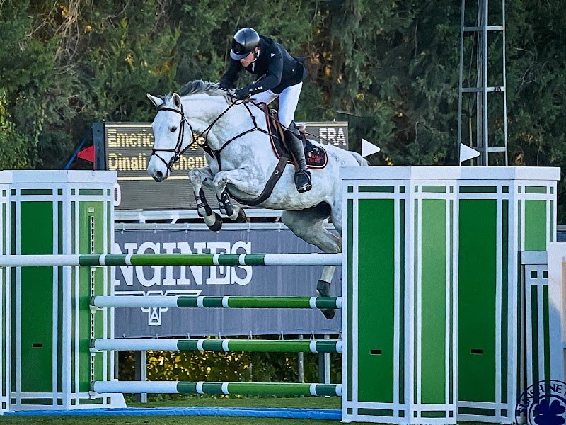 Haras Treize - photo 2