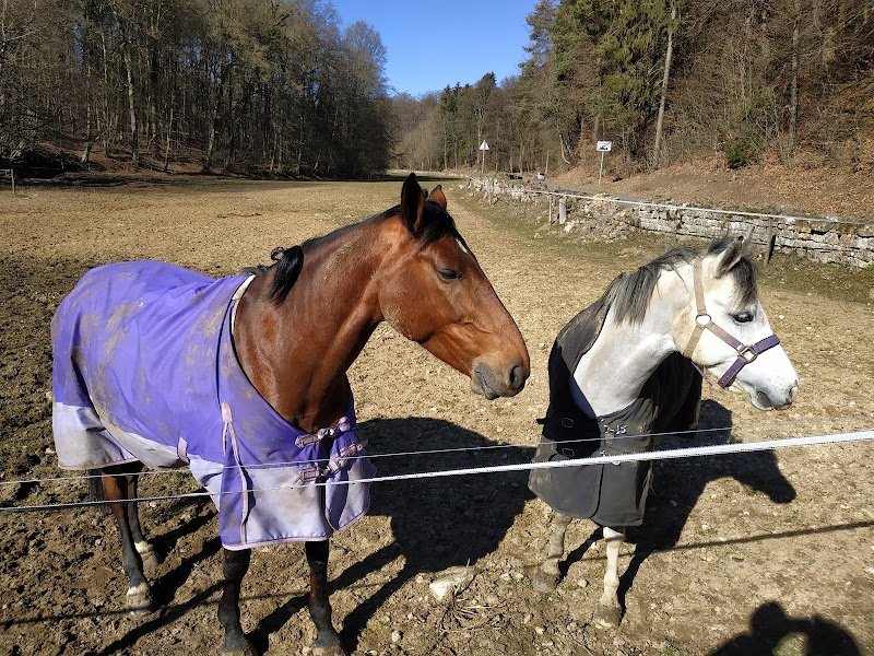 Centre Equestre de Clairefontaine