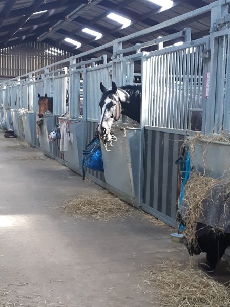 Centre Equestre de Clairefontaine - photo 3